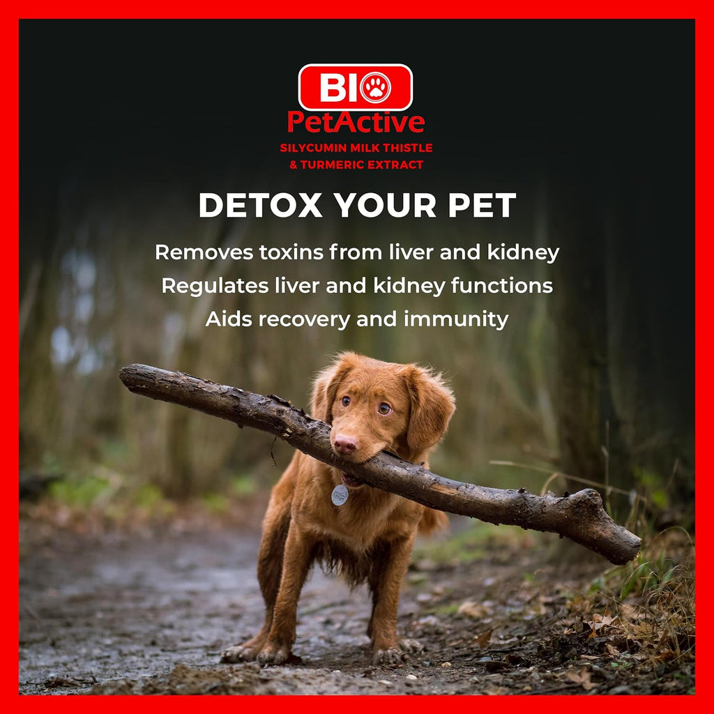 Bio PetActive Silycumin Cardo Mariano y Cúrcuma para Perros - 45 Comprimidos Masticables