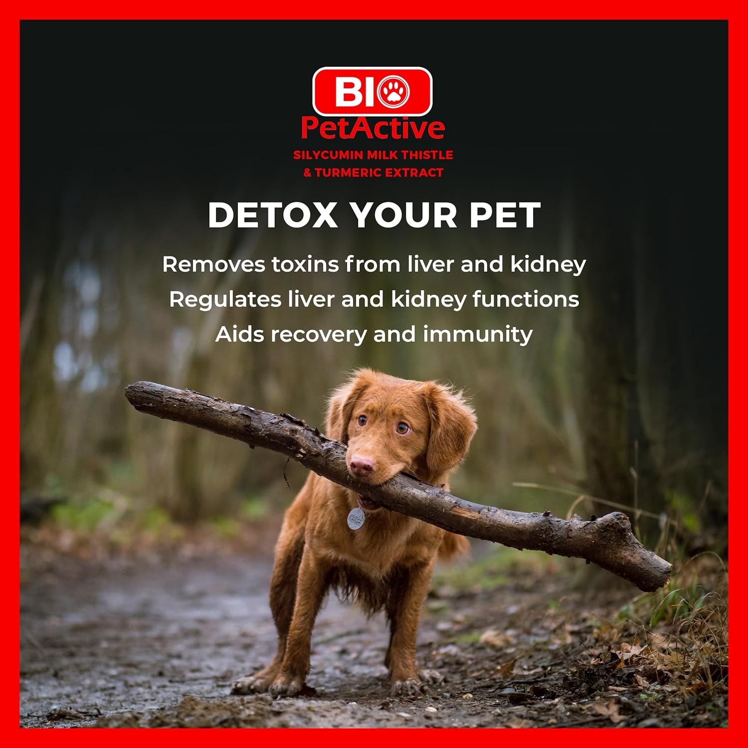 Bio PetActive Silycumin Cardo Mariano y Cúrcuma para Perros - 45 Comprimidos Masticables