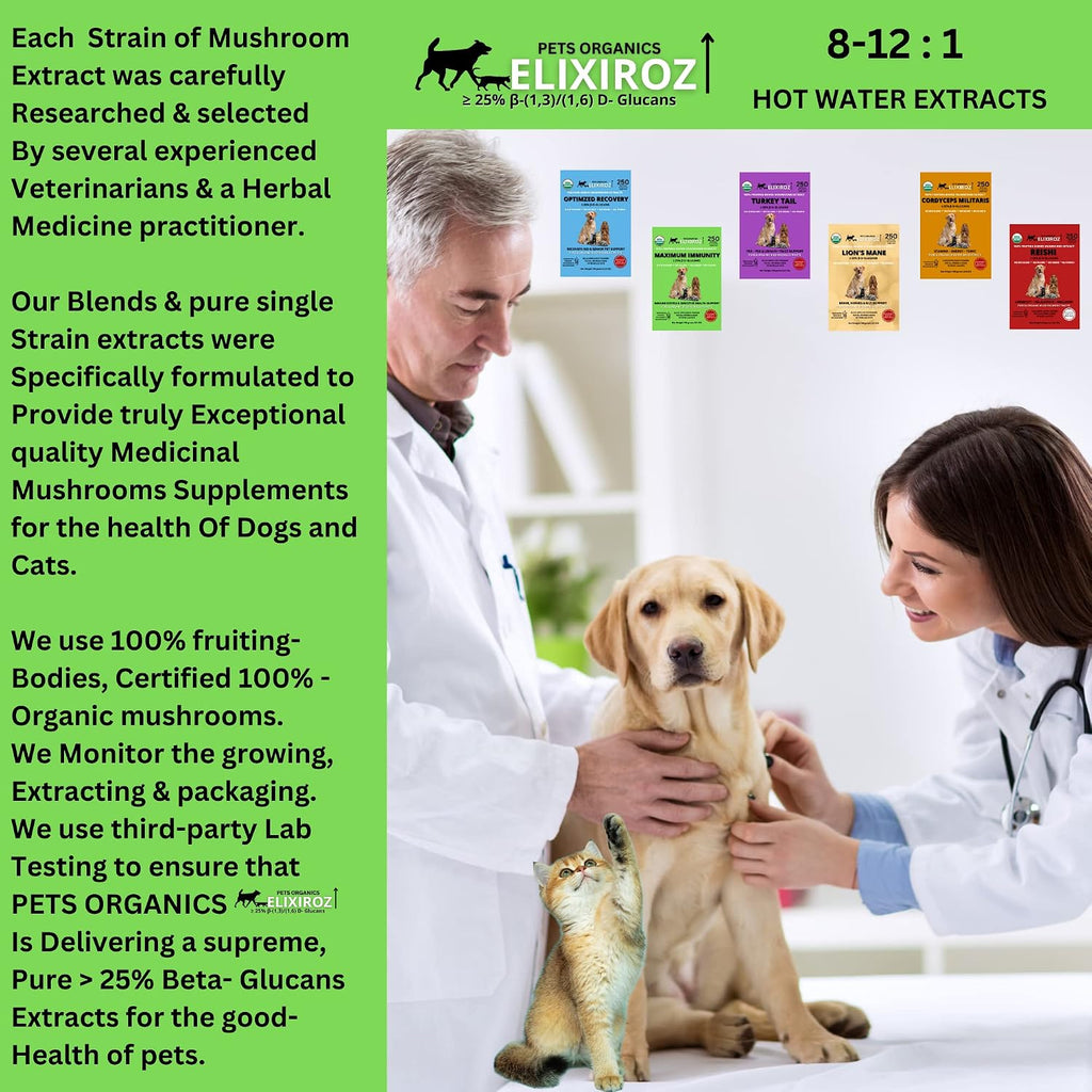 Complejo de Hongos para Perros y Gatos – 25%+ Beta-Glucanos – Mezcla de Extractos de Cuerpos Fructíferos (Cola de Pavo, Reishi, Maitake, Shiitake) – Apoyo Inmunitario y Digestivo – Sin Micelio, Sin Rellenos – 250 Servicios