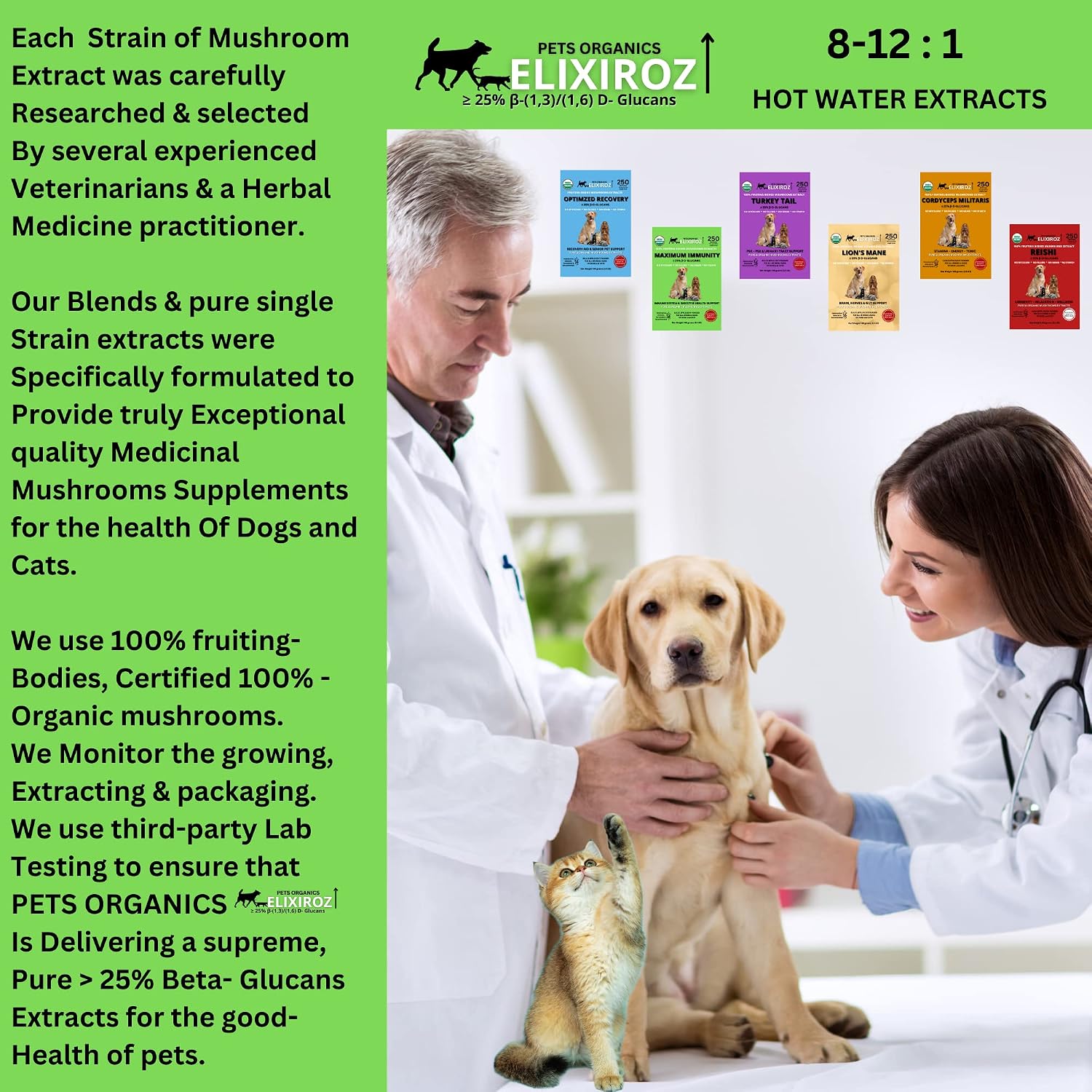 Complejo de Hongos para Perros y Gatos – 25%+ Beta-Glucanos – Mezcla de Extractos de Cuerpos Fructíferos (Cola de Pavo, Reishi, Maitake, Shiitake) – Apoyo Inmunitario y Digestivo – Sin Micelio, Sin Rellenos – 250 Servicios