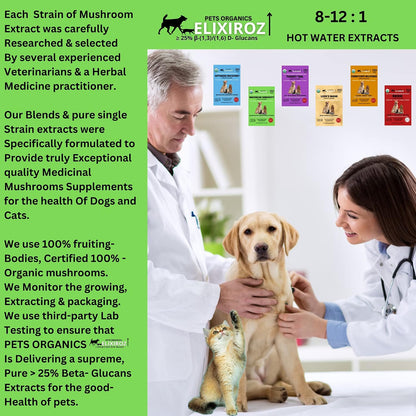 Complejo de Hongos para Perros y Gatos – – Reishi (Ganoderma lucidum) : conocido por su alto contenido en – Image 7