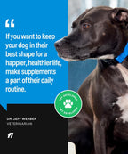 Fi Skin & Coat Powder - Suplemento para Perros (90 dosis)