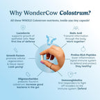 WONDERCOW Cápsulas de Calostro Bovino para la Salud Digestiva e Inmunitaria | Calostro Bovino Puro Natural IgG, Sin Sabor, 30 Dosis