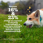 Solid Gold No Poo Chews para Perros - Deterrente de Coprofagia - 60 Masticables