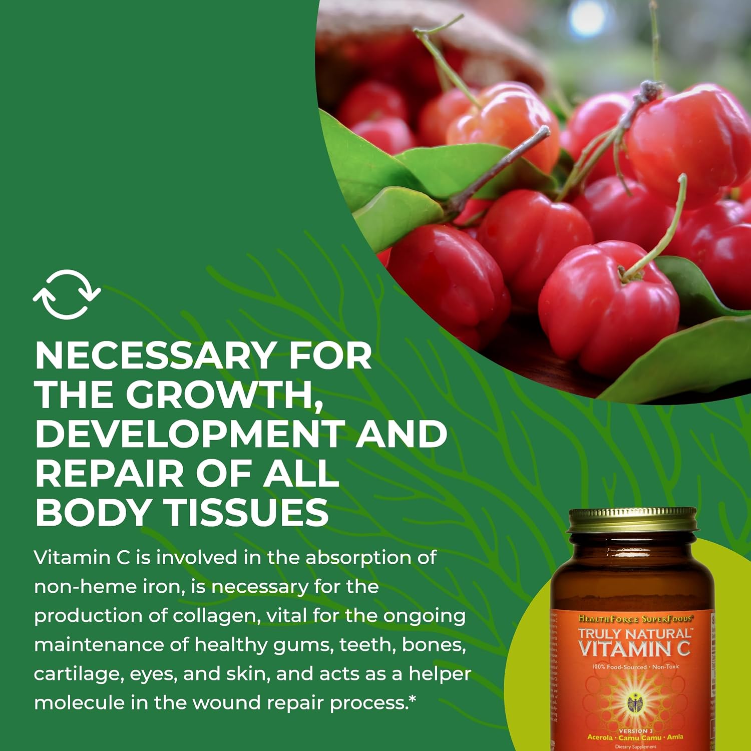Healthforce Superfoods Truly Natural Vitamin C - 180 g (30 raciones)