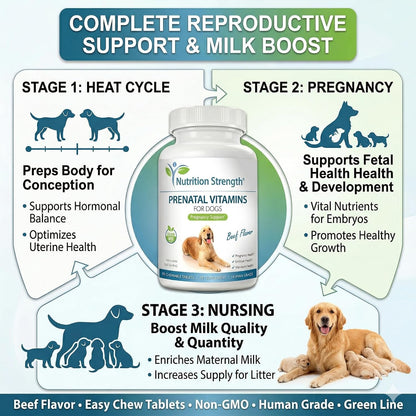 Nutrition Strength Vitaminas Prenatales para Perros - 90 Comprimidos Masticables – Image 7