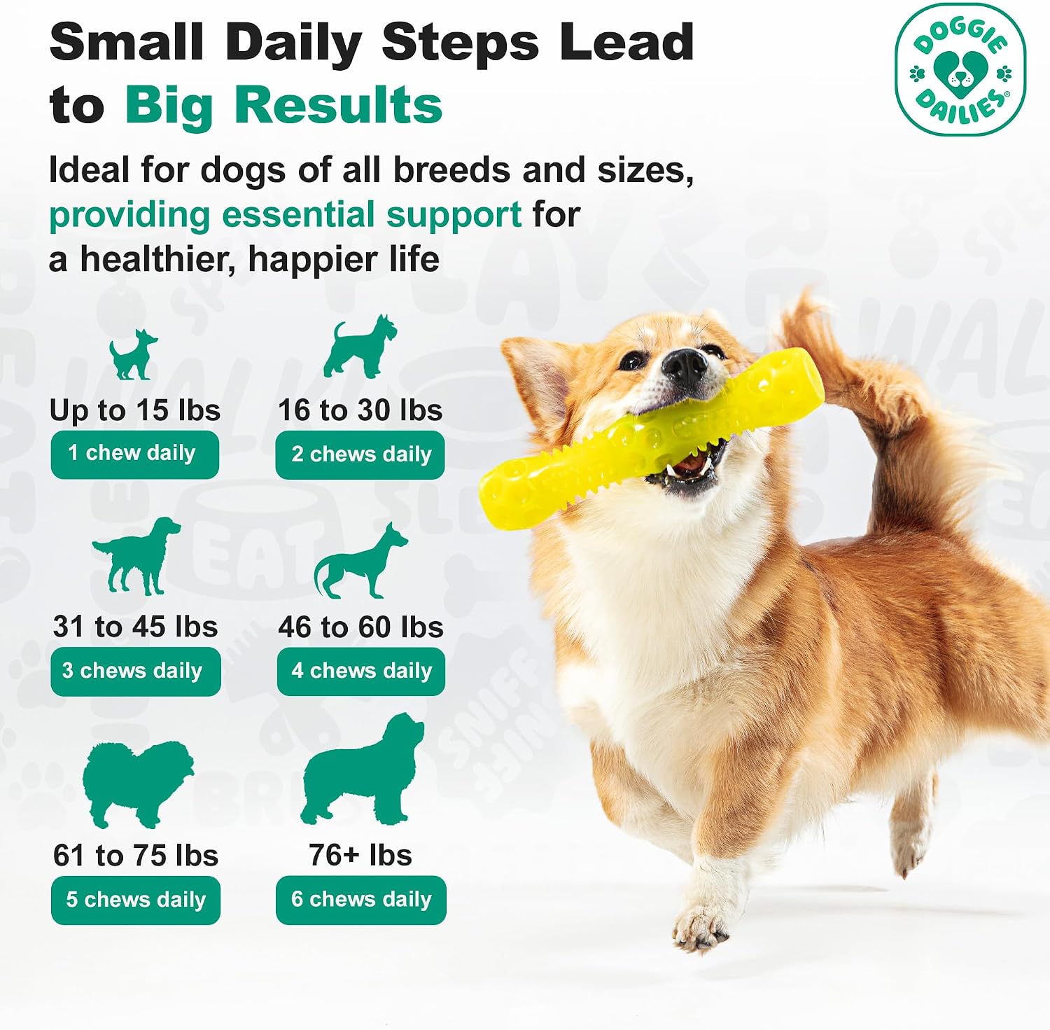 Doggie Dailies Probióticos para Perros con Prebióticos - 225 Masticables Blandos Sabor Calabaza
