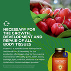 HealthForce Superfoods Truly Natural Vitamin C - 240 Cápsulas Veganas