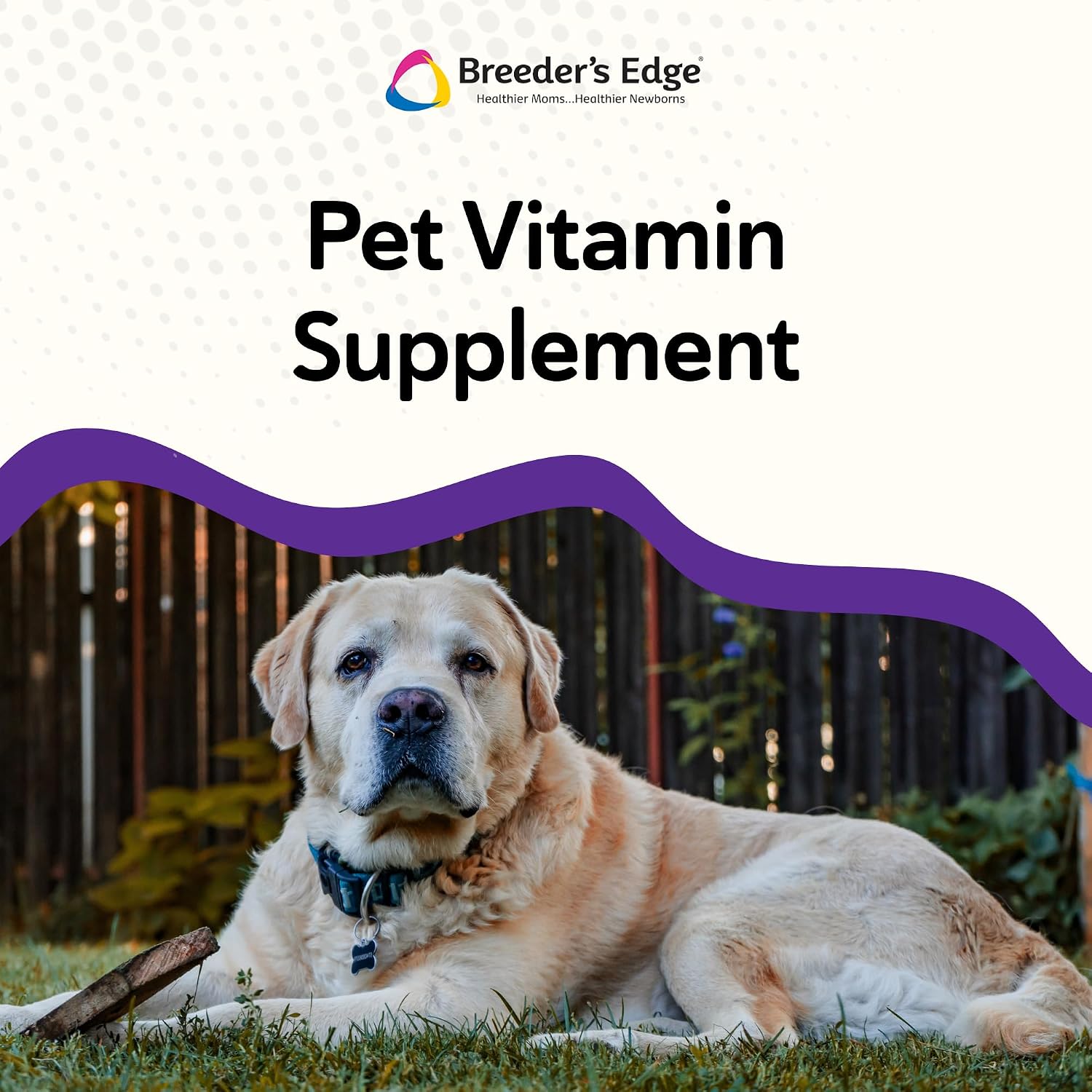 Breeder's Edge B Strong Líquido, Vitaminas B para Perros y Gatos, 237 ml