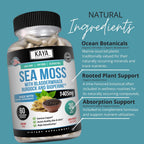 Kaya Naturals Sea Moss – Suplemento de Movilidad con Burdock Root y Bladderwrack (60 Cápsulas Vegetales)
