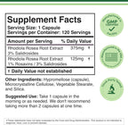 Rhodiola Rosea 500mg, 120 Cápsulas Veganas - Extracto Estandarizado (3% Salidrósidos, 1% Rosavinas) by Double Wood