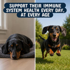 Pets are Kids Turkey Tail Mushroom for Dogs with Organic Real Turkey Tail™ - 8:1 Extract Mushroom Chews for Immune System Health, Gut, Skin & Joint Support - Reishi, Lion's Mane - 120 Chews