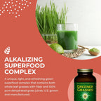 HealthForce SuperFoods Greener Grasses Alkalizer Powder - Polvo de Superalimento Verde Orgánico (284 g)