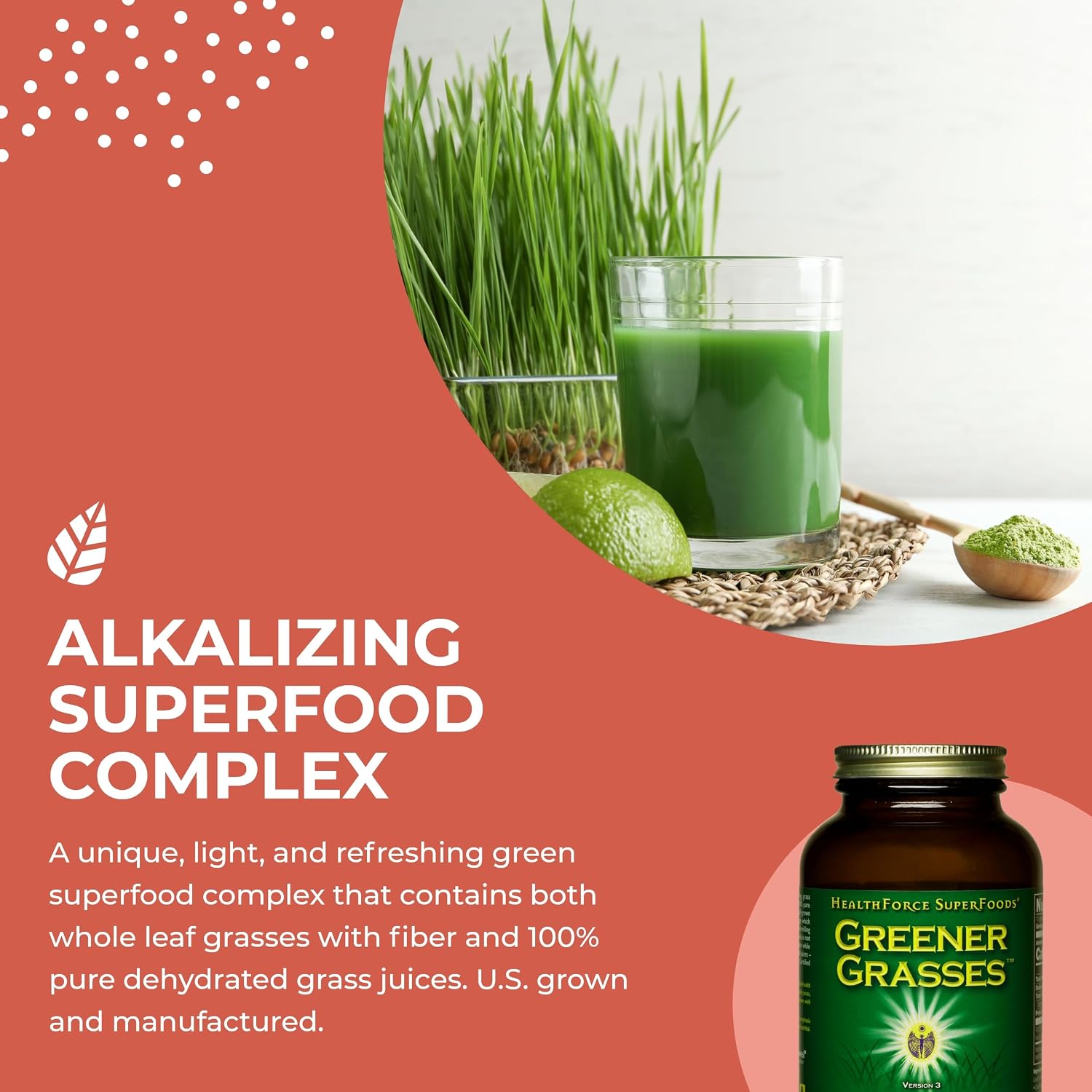 HealthForce SuperFoods Greener Grasses Alkalizer Powder - Polvo de Superalimento Verde Orgánico (284 g)
