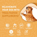 Waggedy Omega Max Chews para perros con aceite de salmón y linaza, 60 unidades.
