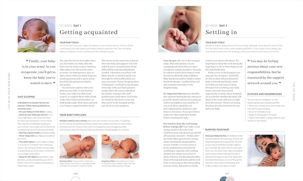 Pregnancy Day by Day: Count Down Your Pregnancy Day by Day with Advice from a Team of Experts