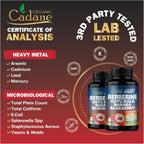 Cadane Berberina Premium 10 en 1 con Gotu Kola y Hoja de Banaba - 150 Cápsulas