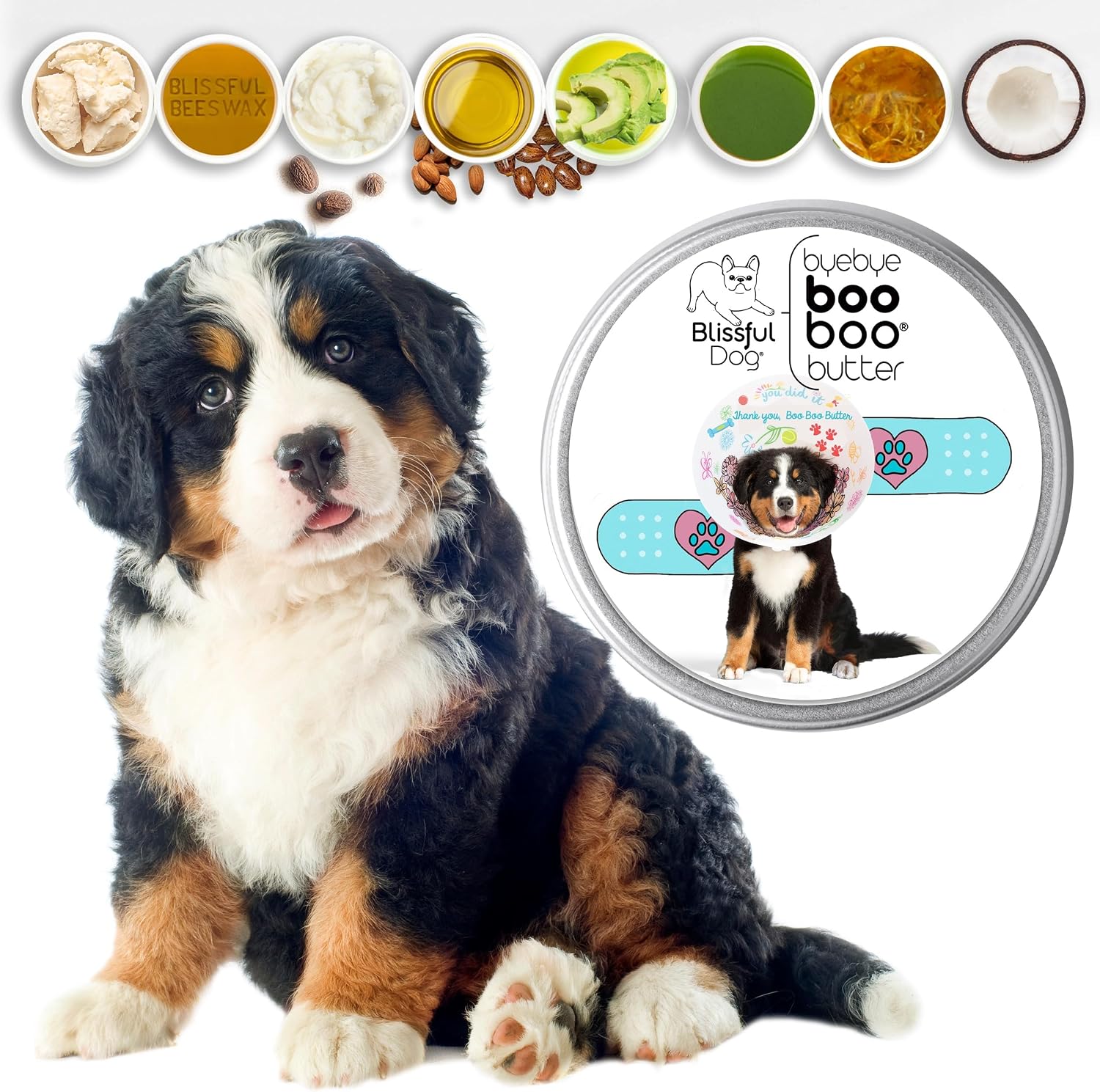The Blissful Dog 8 oz LATA Mantequilla Booboo para Perro de Montaña Bernés
