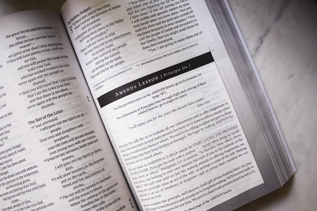 NIV, Biblia de Estudio Celebrate Recovery (Edición 35 Aniversario), Tapa blanda, Comfort Print