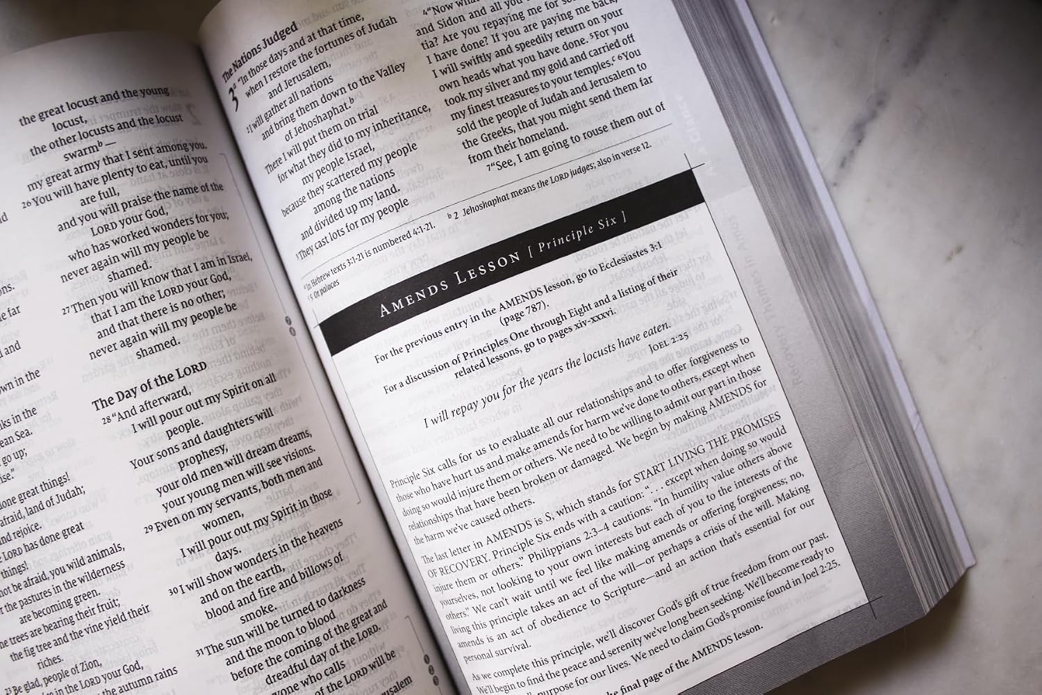 NVI, Biblia de estudio Celebrate Recovery (edición 35.º aniversario), rústica, letra grande