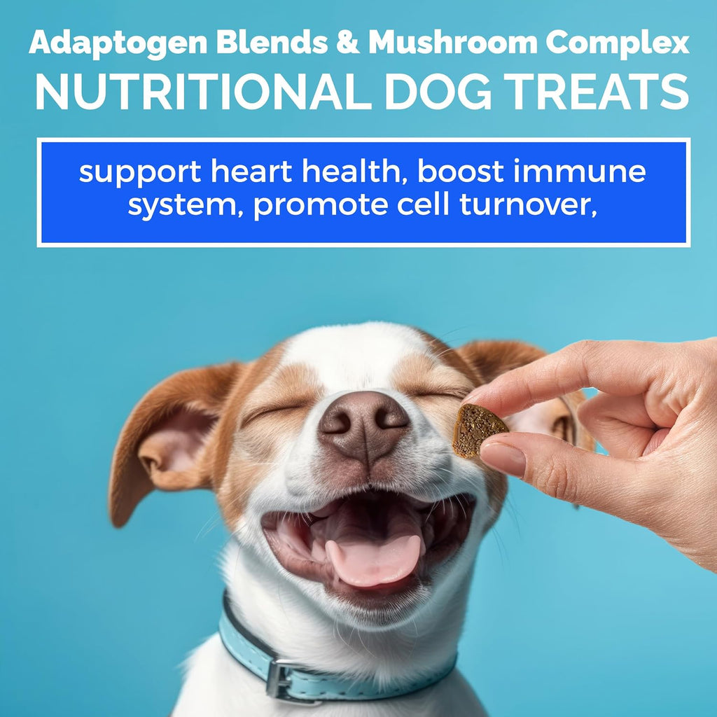 MEDii Pet Multivitamínico para Perros con Espirulina y 74 Minerales Orgánicos - 125 comprimidos