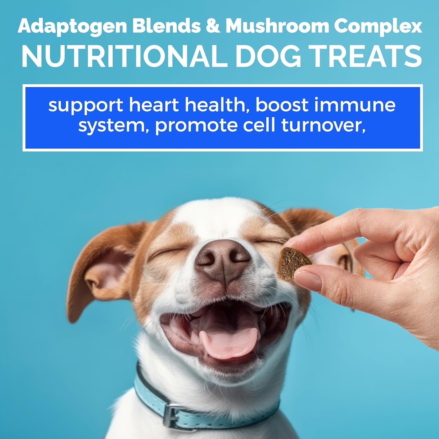 MEDii Pet Multivitamínico para Perros con Espirulina y 74 Minerales Orgánicos - 125 comprimidos