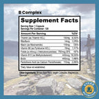 Vykee Nutrition Complejo B – Vitaminas B de Alta Potencia con Folato 750mcg, B12 440mcg y Biotina – Vegano y No GMO – 120 Cápsulas