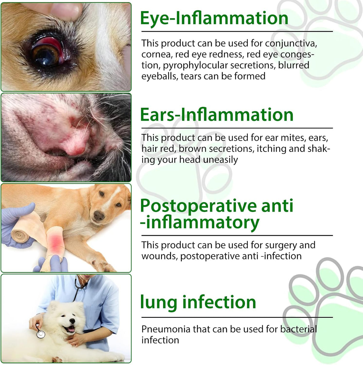 Antibióticos Naturales para Perros – Suplemento Herbal 60 ml – Image 8