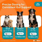 OL’ NELLY Pasta Probiótica para Perros y Gatos - 7.2 Mil Millones UFC, 6 Cepas + Prebiótico, 14g