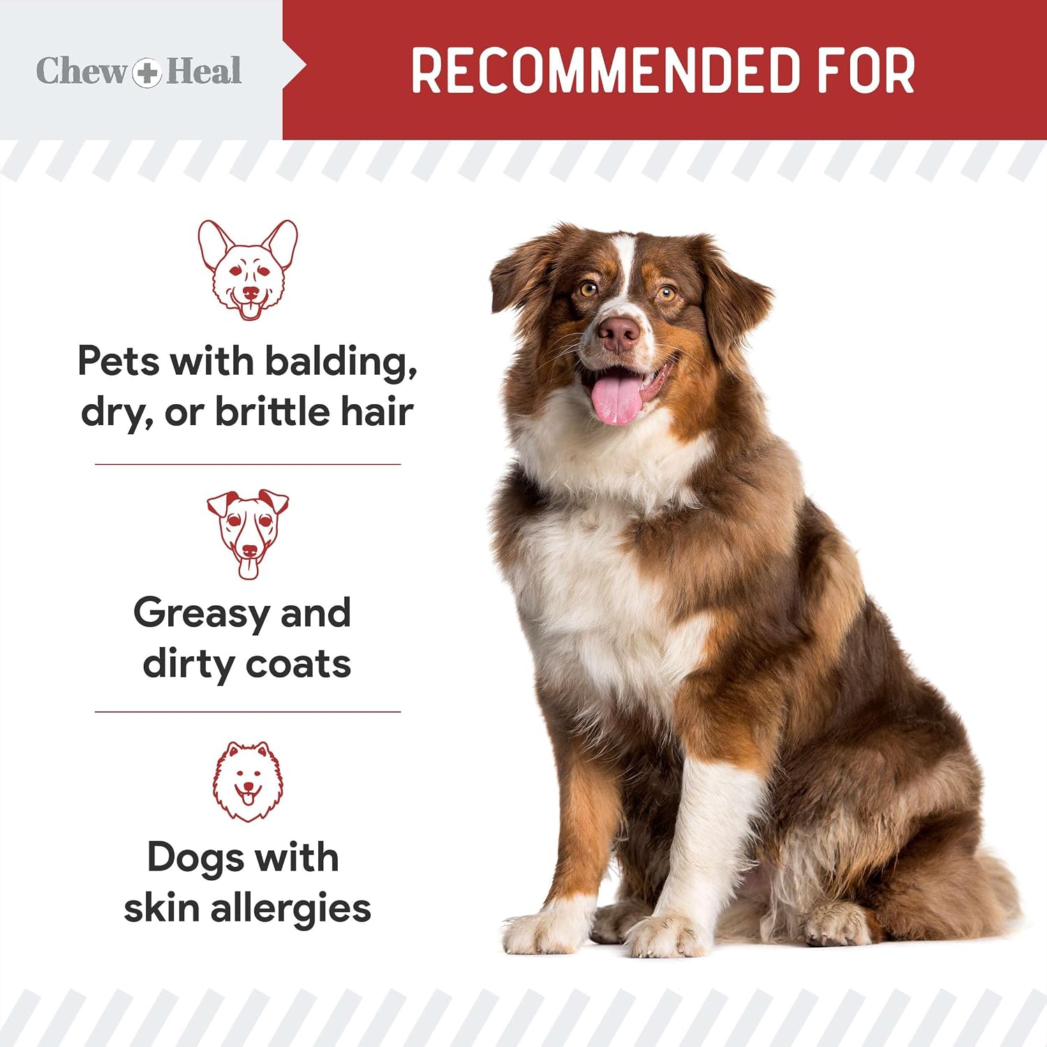 Best Itchy Skin Relief for Dogs - 360 Soft Chew Omega Treats for Skin and Coat - Salmon Oil Blend - 2 Packs of 180, Bacon Flavor