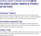 HEALTHFORCE SUPERFOODS Truly Natural Vitamina C - 120 Cápsulas Veganas