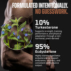 Turkesterone y Ecdysterone – Potenciador Natural de Testosterona, 2-en-1 de Alta Potencia con 95% Beta Ecdysterone – 180 Cápsulas