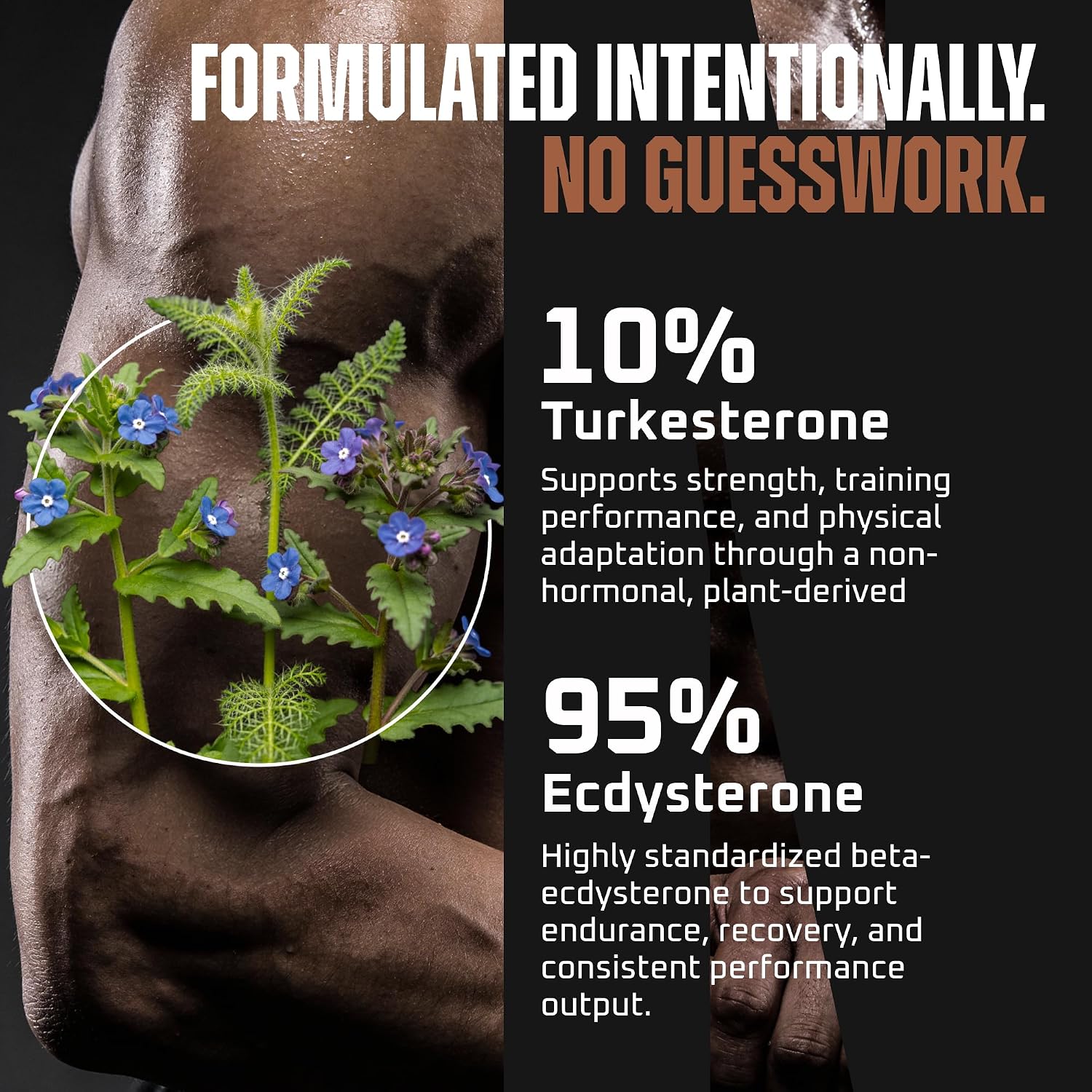 Turkesterone y Ecdysterone – Potenciador Natural de Testosterona, 2-en-1 de Alta Potencia con 95% Beta Ecdysterone – 180 Cápsulas