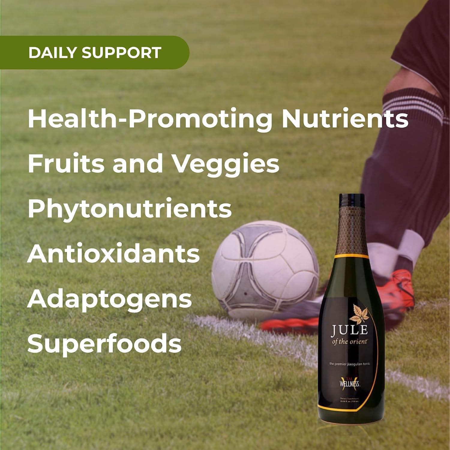 Youngevity Jule of the Orient® Organic SuperJuice con 15+ Superalimentos - Tónico de Frutas y Verduras con Adaptógenos, Fitonutrientes y Antioxidantes (25.35 fl oz)