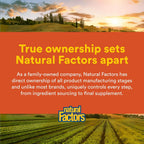 Natural Factors Hi Potency B Complex - Complejo B de Alta Potencia - 90 Cápsulas