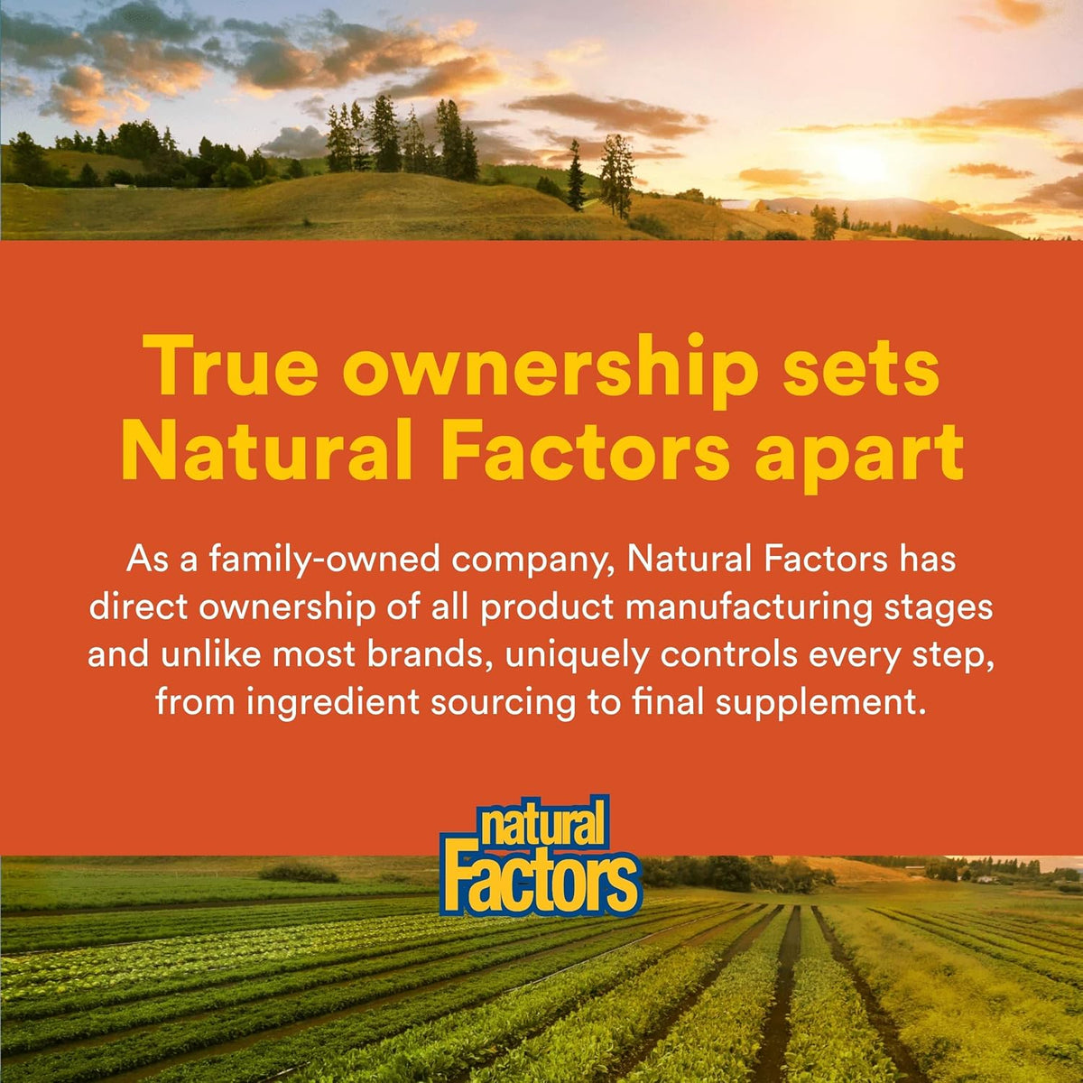 Natural Factors Hi Potency B Complex - – Tiamina (B1): Contribuye al metabolismo energético normal y al – Image 7
