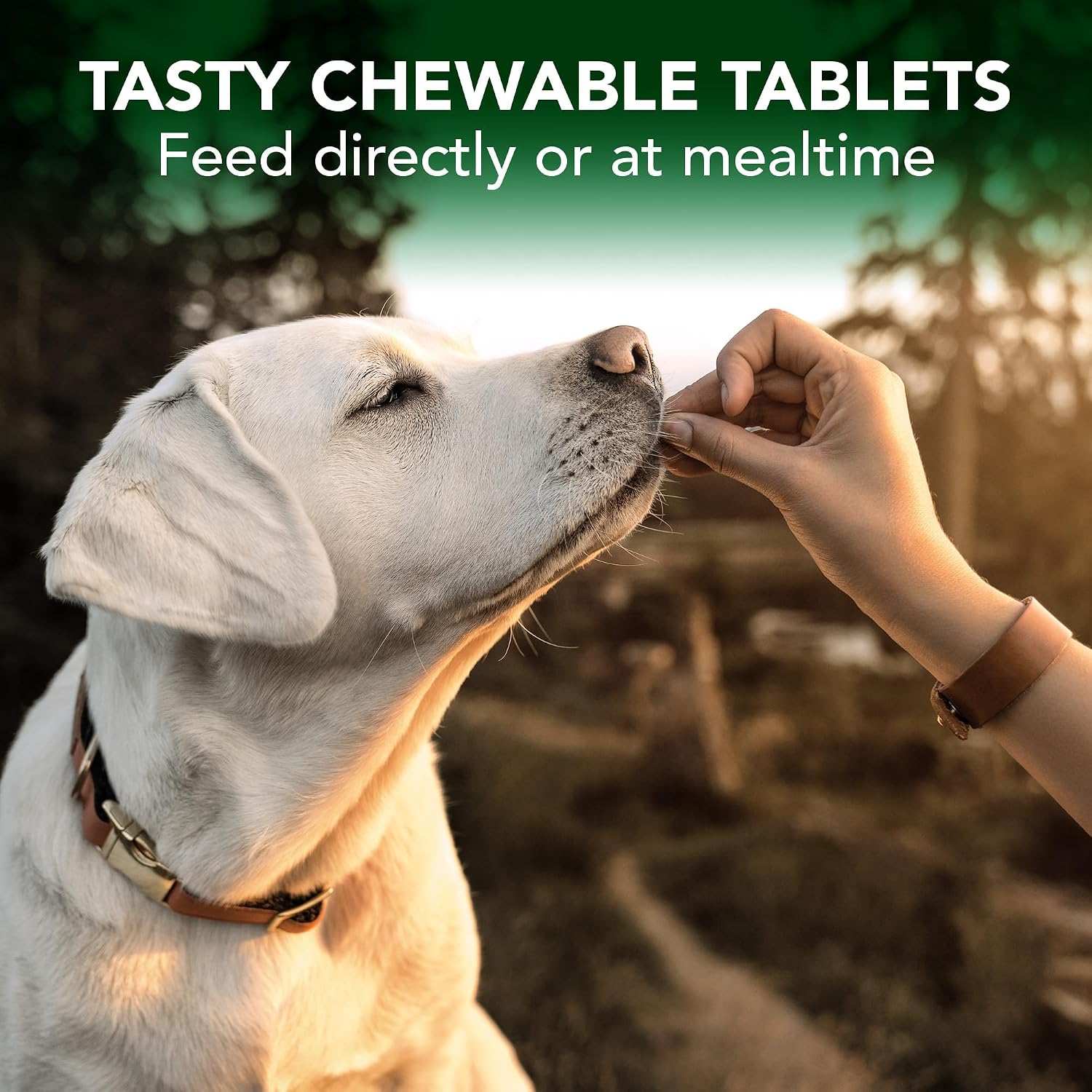 Vet's Best Masticables para Alergias en Perros - Alivio del Picor Estacional - 60 Comprimidos