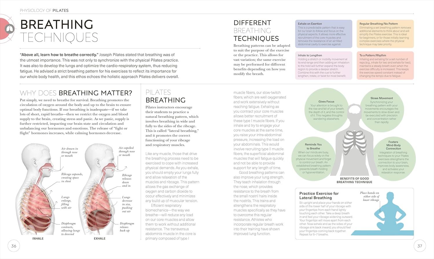 Science of Pilates: Understand the Anatomy and Physiology to Perfect Your Practice