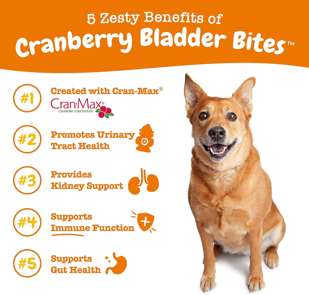 Zesty Paws Suplemento de Arándano para Perros - Arándano con D-Mannose, Vitamina B6 y L-Arginina - Sabor a Bacon - 90 unidades