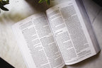 NIV, Celebrate Recovery Study Bible (35th Anniversary Edition), Paperback, Comfort Print