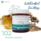 Manafest Sea Moss Gel - Gel de Musgo Marino Orgánico con Saúco, Bardana y Fucus - 454g