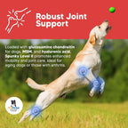 Spunky Nivel II Probióticos Formulados para Perros, 227 g
