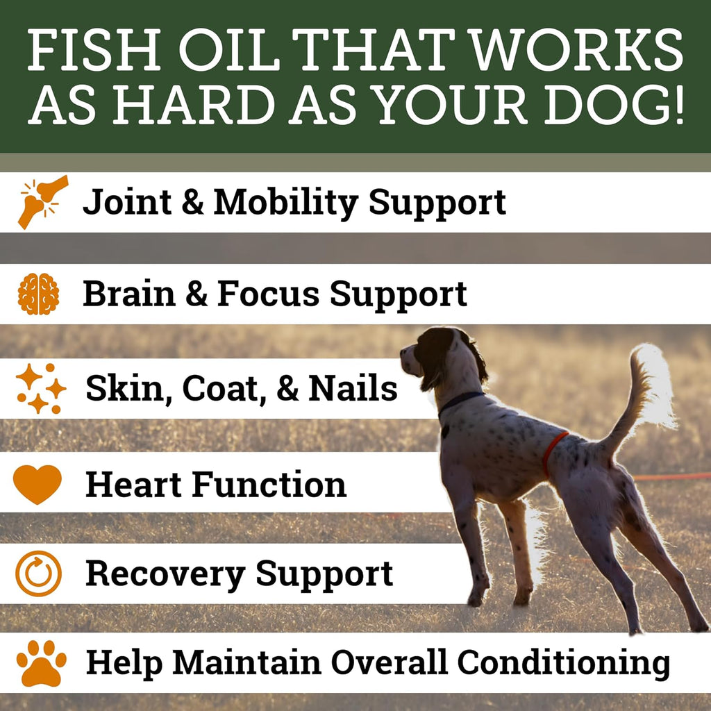 DogBone Omega 3 Fish Oil for Dogs - EPA + DHA Supplement for Hip & Joint, Heart, Skin Support - Omega 6 Fatty Acids - Help Hunting Dog Recovery - Improve Puppy, Senior Canine Health - 946ml Pump Bottle