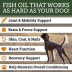DogBone Omega 3 Fish Oil for Dogs - EPA + DHA Supplement for Hip & Joint, Heart, Skin Support - Omega 6 Fatty Acids - Help Hunting Dog Recovery - Improve Puppy, Senior Canine Health - 946ml Pump Bottle