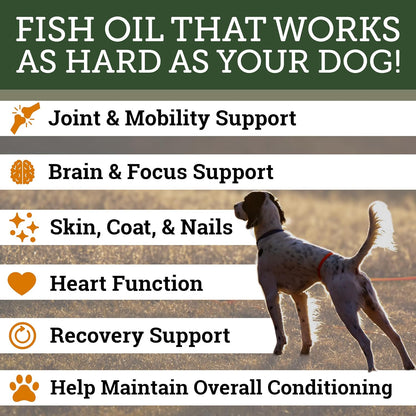 DogBone Omega 3 Fish Oil for Dogs - EPA + DHA Supplement for Hip & Joint, Heart, Skin Support - Omega 6 Fatty Acids - Help – Image 2