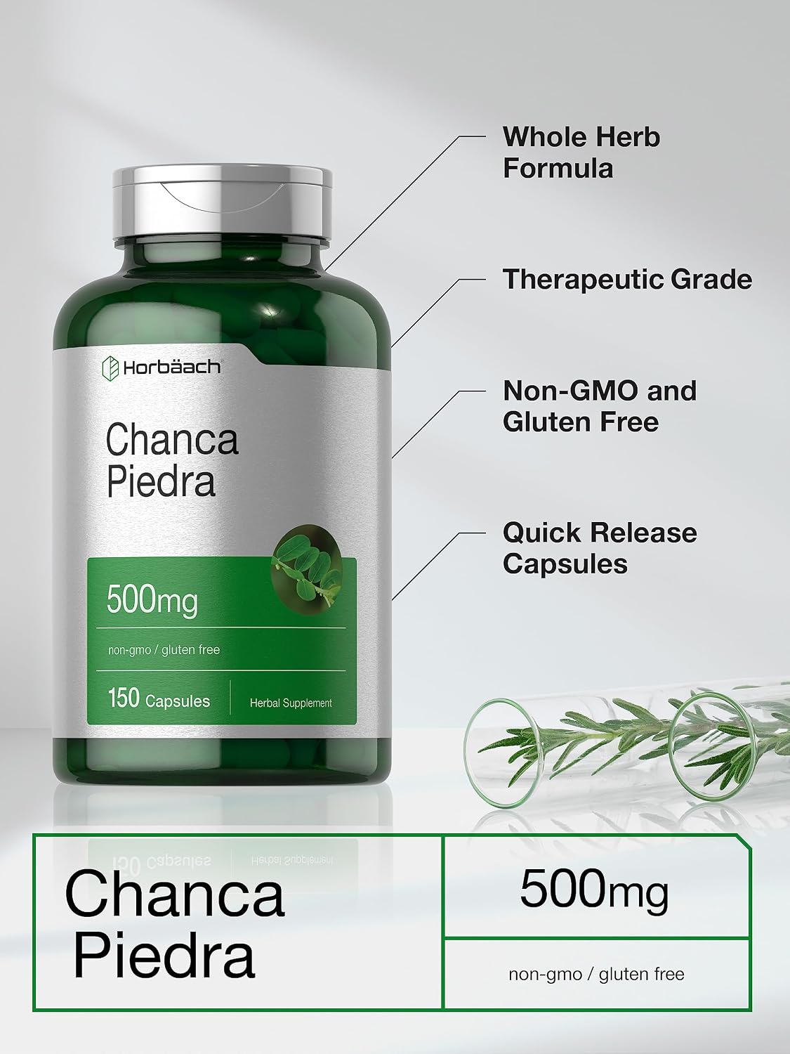 Horbäach Chanca Piedra Cápsulas | 500mg | 150 Cápsulas | Suplemento Herbal Sin Gluten y No Transgénico