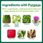 Macro Greens Superfood Powder – 38 Superalimentos con Probióticos y Enzimas