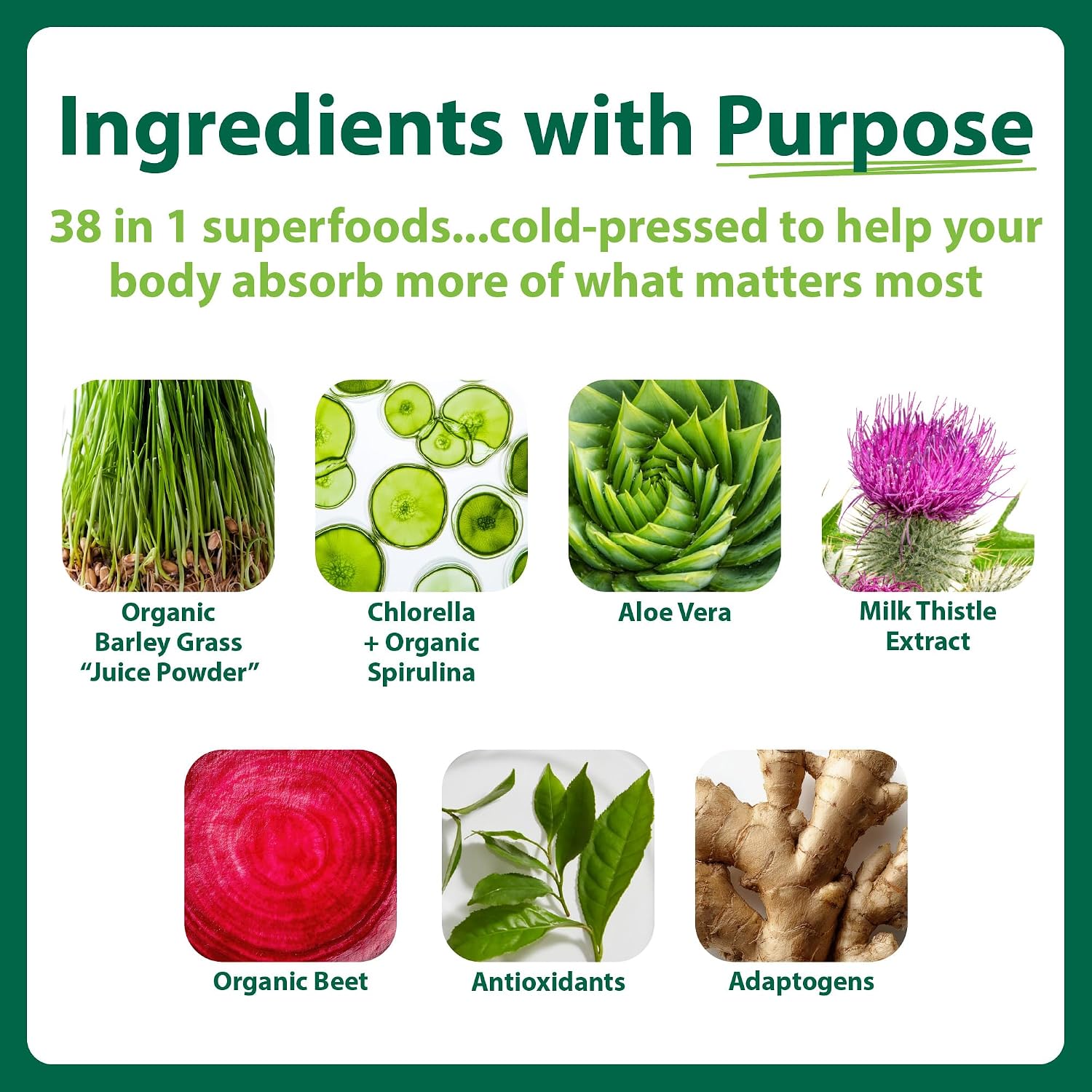 Macro Greens Superfood Powder – 38 Superalimentos con Probióticos y Enzimas