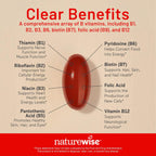 NatureWise Complejo B para Hombres y Mujeres - con Ácido Fólico, Biotina, B1, B2, B3, B6, B12 - Apoyo a la Energía Celular y Claridad Mental - Sin Gluten ni Lácteos - 60 Cápsulas Blandas
