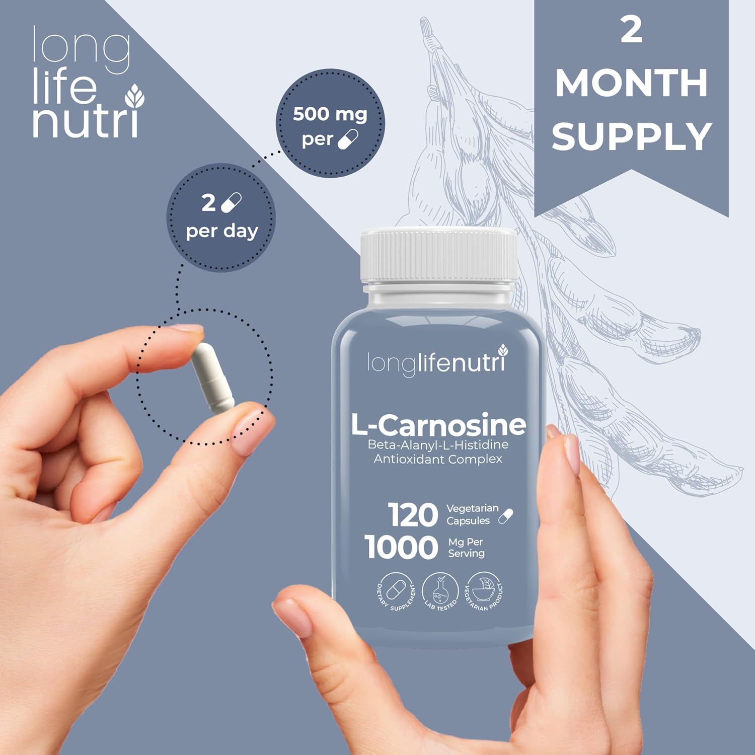 LongLifeNutri L-Carnosina 1000mg - Beta-Alanil-L-Histidina para Energía Celular y Claridad Mental, 120 Cápsulas Vegetarianas (2 Meses)